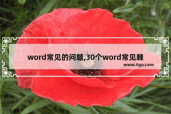 word常见的问题,30个word常见棘手问题解决方法