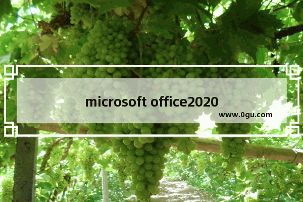 microsoft office2020激活,microsoft office 2019激活码