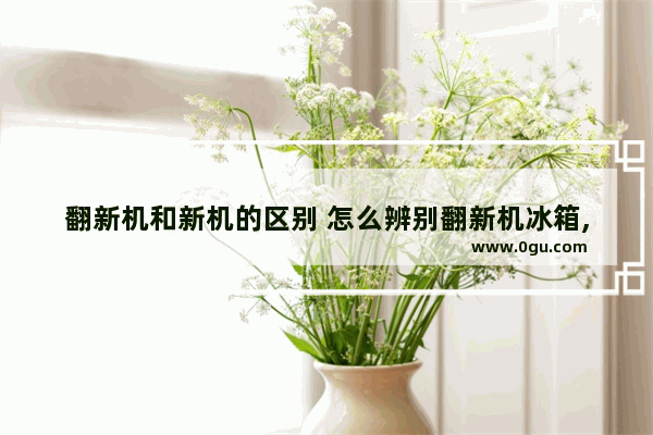 翻新机和新机的区别 怎么辨别翻新机冰箱,如何分辨翻新机和新机的区别