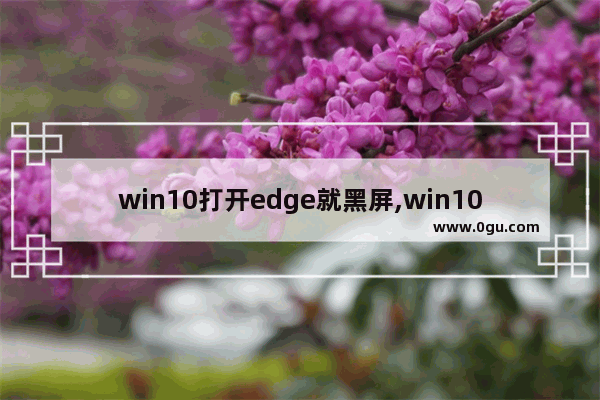 win10打开edge就黑屏,win10预览版 绿屏