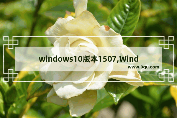 windows10版本1507,Windows 11 Build 21996