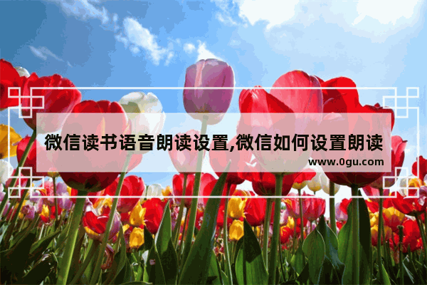 微信读书语音朗读设置,微信如何设置朗读