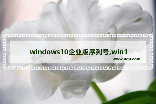 windows10企业版序列号,win10企业版最新版本是多少