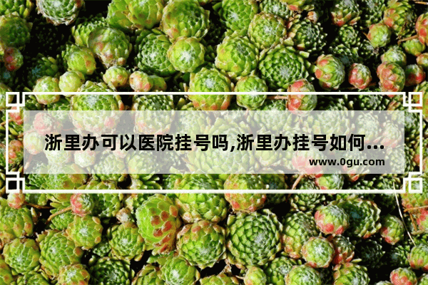 浙里办可以医院挂号吗,浙里办挂号如何取消预约
