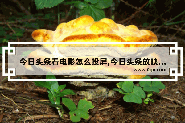 今日头条看电影怎么投屏,今日头条放映厅在哪里设置