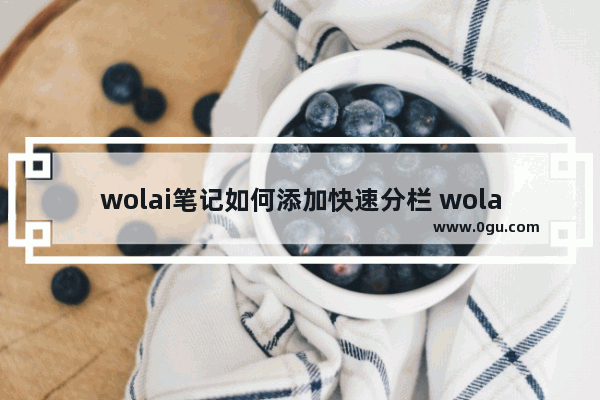 wolai笔记如何添加快速分栏 wolai笔记添加快速分栏的方法