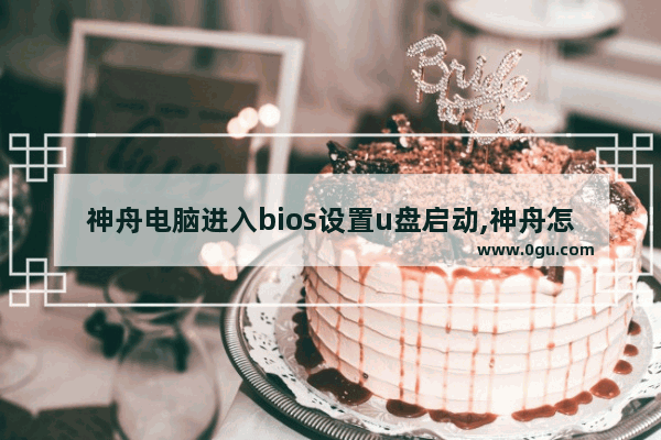 神舟电脑进入bios设置u盘启动,神舟怎么进入bios设置u盘启动项