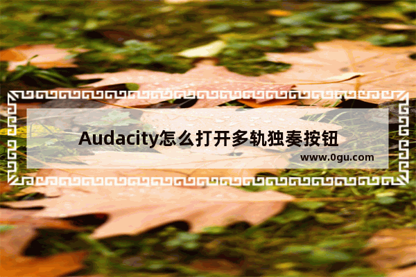 Audacity怎么打开多轨独奏按钮