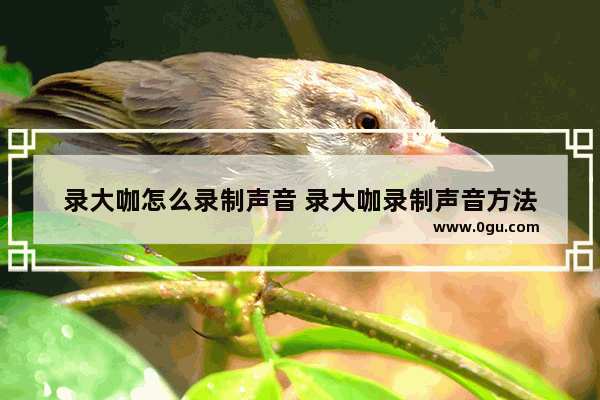 录大咖怎么录制声音 录大咖录制声音方法