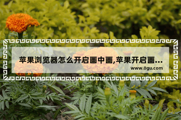苹果浏览器怎么开启画中画,苹果开启画中画功能
