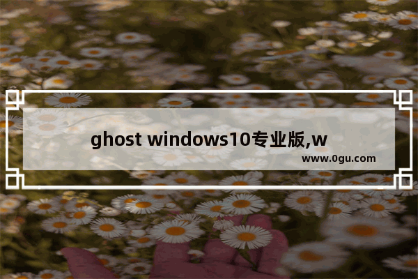 ghost windows10专业版,win10纯净版ghost下载 1