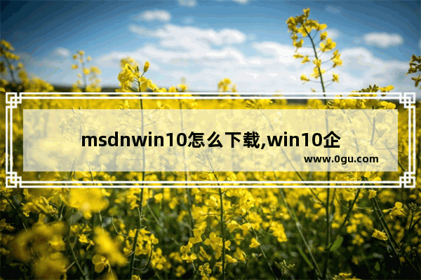msdnwin10怎么下载,win10企业版怎么下载