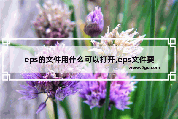 eps的文件用什么可以打开,eps文件要用什么软件打开