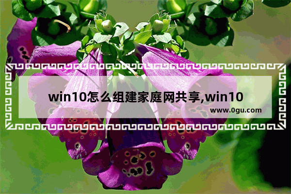 win10怎么组建家庭网共享,win10共享家庭组怎么设置