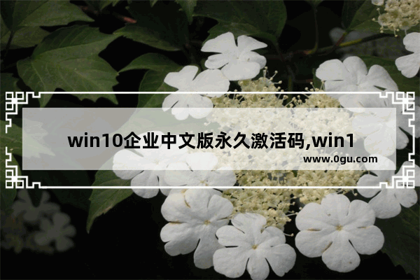 win10企业中文版永久激活码,win10企业版永久激活码大全和激活方法