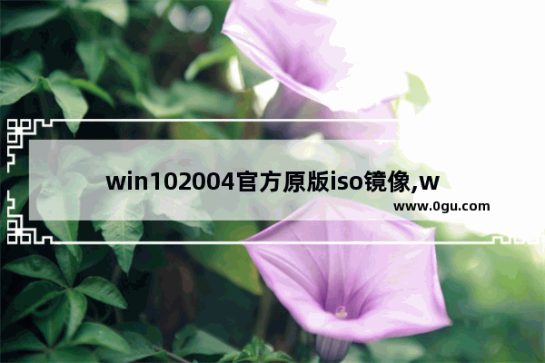 win102004官方原版iso镜像,windows10官方原版iso镜像