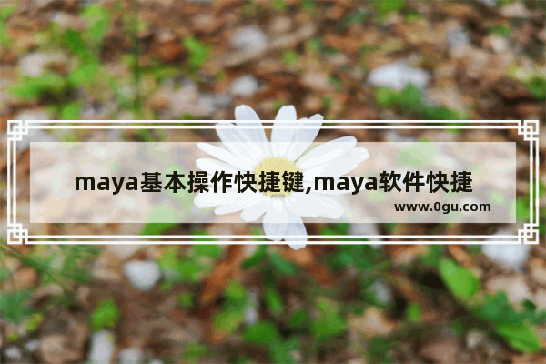 maya基本操作快捷键,maya软件快捷键总结