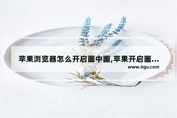 苹果浏览器怎么开启画中画,苹果开启画中画功能