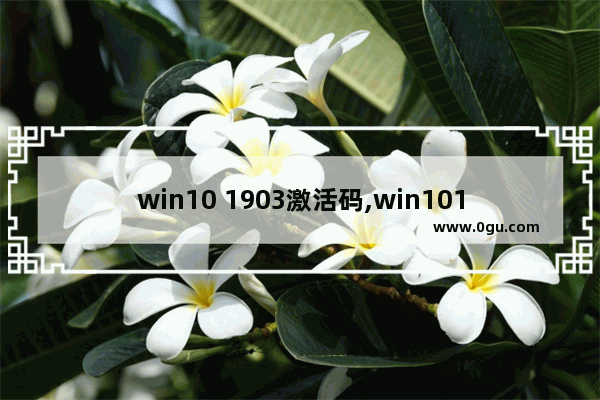 win10 1903激活码,win101909激活