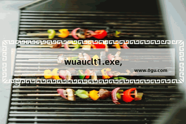 wuauclt1.exe,