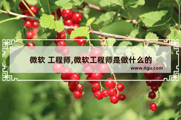 微软 工程师,微软工程师是做什么的