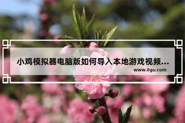小鸡模拟器电脑版如何导入本地游戏视频,小鸡模拟器电脑版如何导入本地游戏里