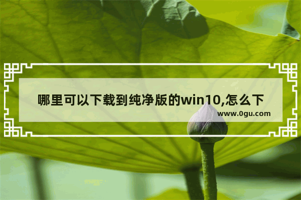 哪里可以下载到纯净版的win10,怎么下载win10纯净版