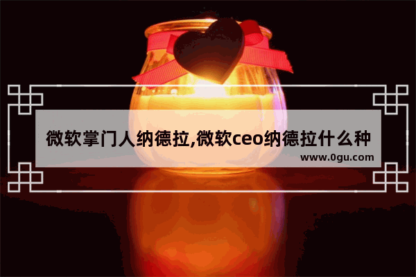 微软掌门人纳德拉,微软ceo纳德拉什么种姓