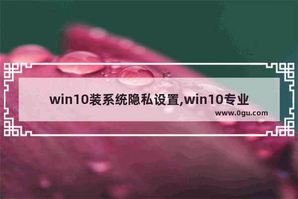 win10装系统隐私设置,win10专业版没有安全中心