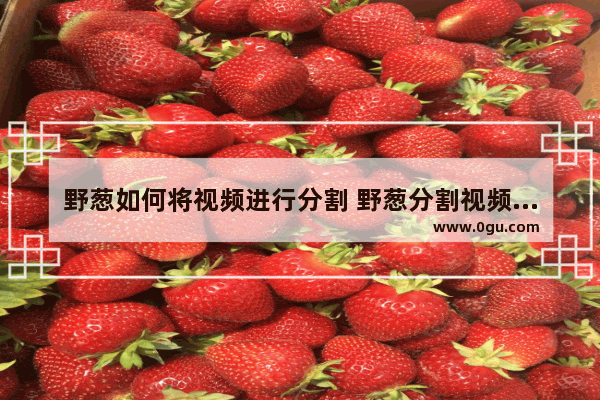 野葱如何将视频进行分割 野葱分割视频方法