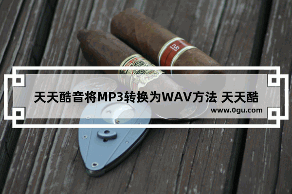 天天酷音将MP3转换为WAV方法 天天酷音如何将MP3转换为WAV