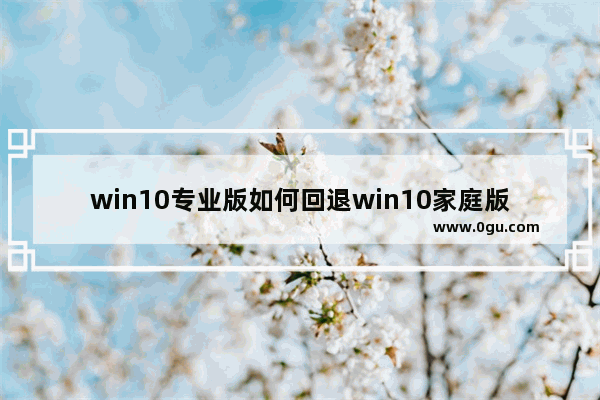 win10专业版如何回退win10家庭版,win11专业版怎么退回win10