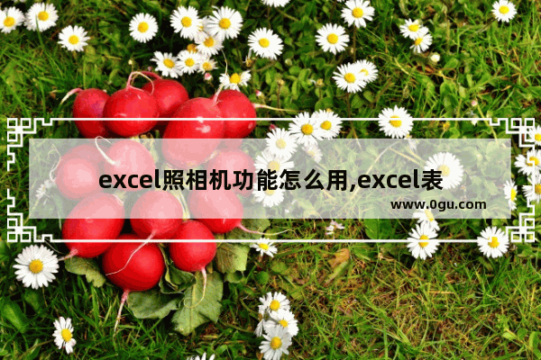 excel照相机功能怎么用,excel表格照相机功能