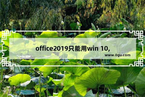 office2019只能用win 10,windows office2020