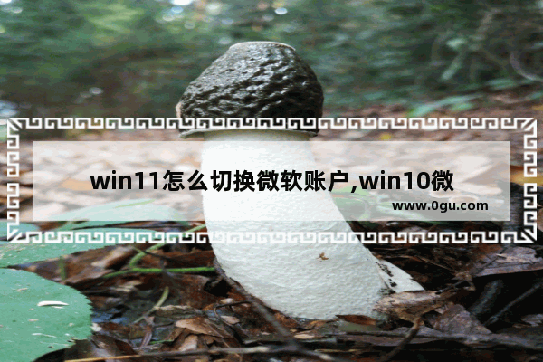 win11怎么切换微软账户,win10微软账户怎么切换