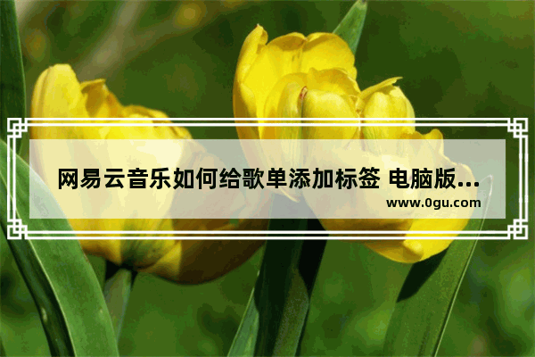 网易云音乐如何给歌单添加标签 电脑版网易云音乐给歌单添加标签的方法