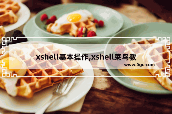 xshell基本操作,xshell菜鸟教程