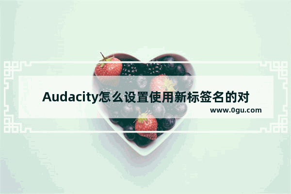 Audacity怎么设置使用新标签名的对话框
