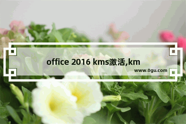 office 2016 kms激活,kms激活office使用教程