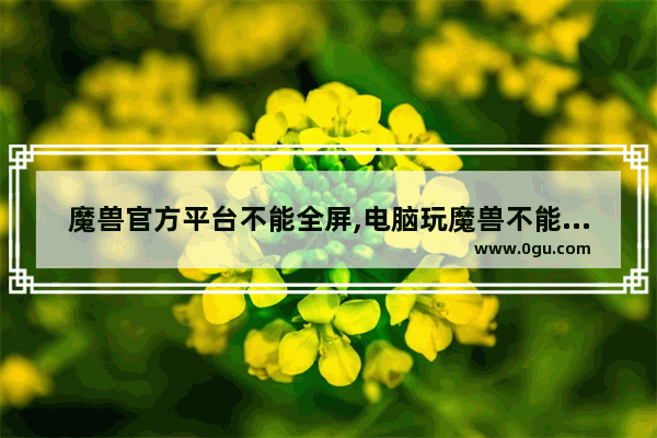 魔兽官方平台不能全屏,电脑玩魔兽不能全屏怎么办