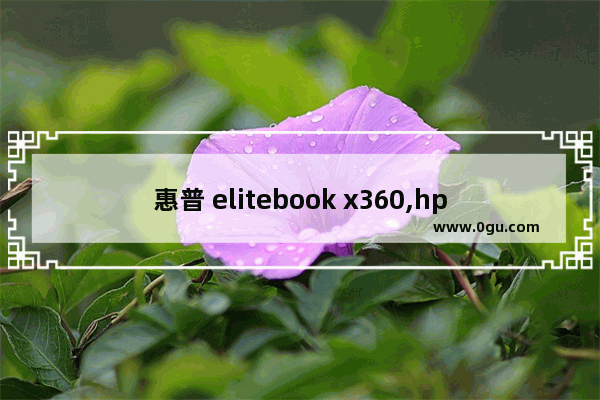 惠普 elitebook x360,hp envy x360