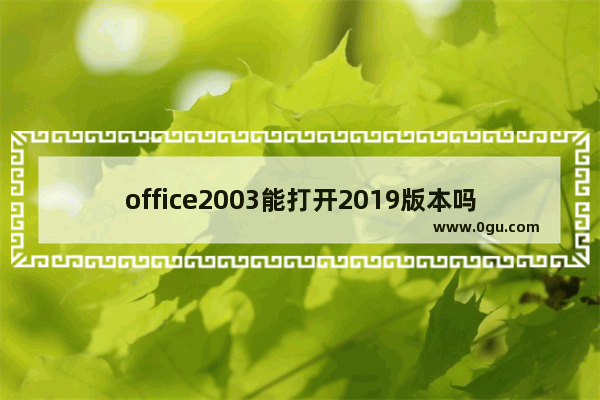office2003能打开2019版本吗,office2019能打开2003吗