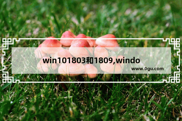 win101803和1809,windows10 1809版本