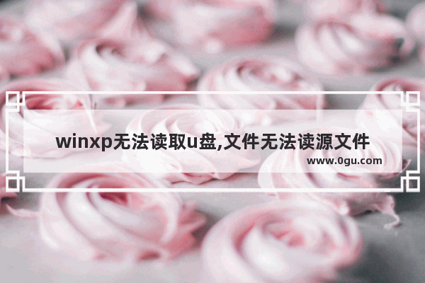 winxp无法读取u盘,文件无法读源文件或磁盘
