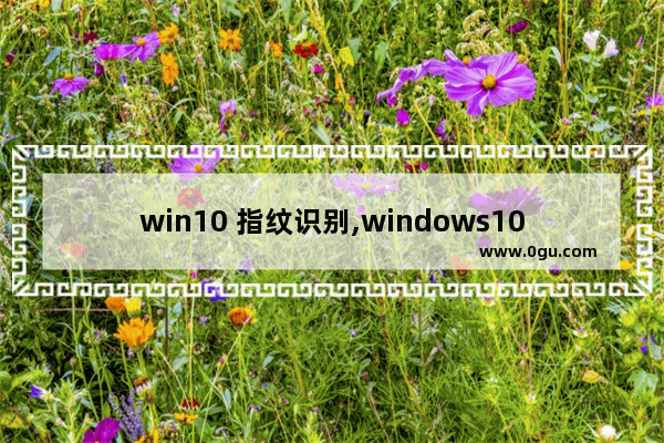 win10 指纹识别,windows10指纹识别驱动