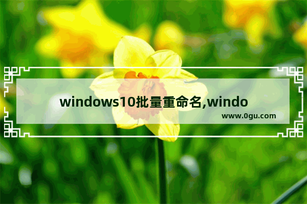 windows10批量重命名,windows批量重命名文件 1