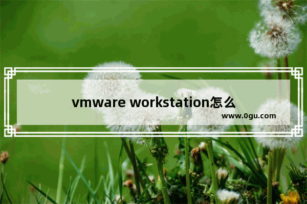 vmware workstation怎么安装win10,如何在vmware安装win11