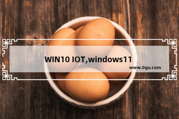 WIN10 IOT,windows11 iot