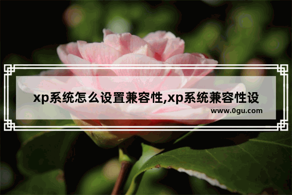 xp系统怎么设置兼容性,xp系统兼容性设置在哪