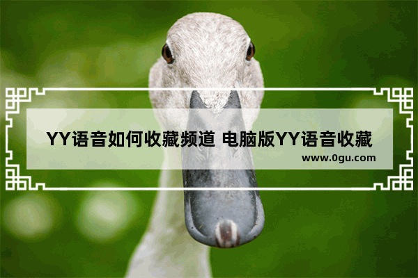 YY语音如何收藏频道 电脑版YY语音收藏频道的方法